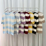 Cormi Stripe Knit Top