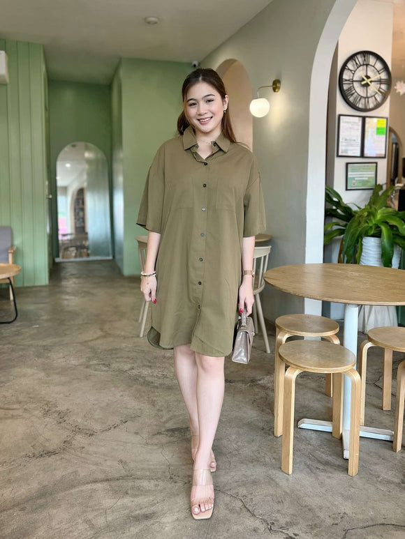 Kristie Buttondown Dress