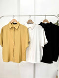 Eby Buttondown Collared Top