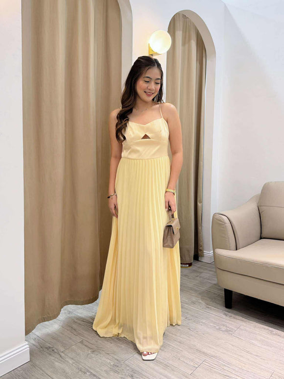 Guillermo Premium Pleated Dress