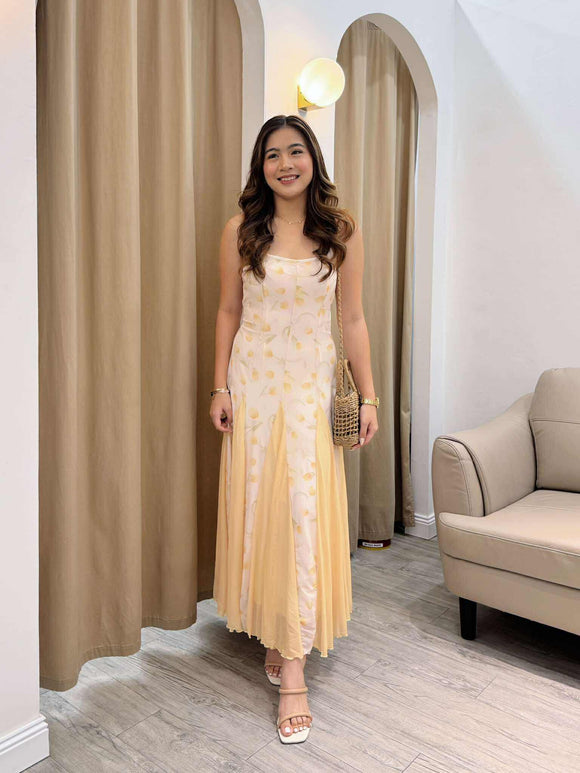 Blessyn Premium Printed Dress