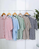 Farhan Buttondown Stripe Top